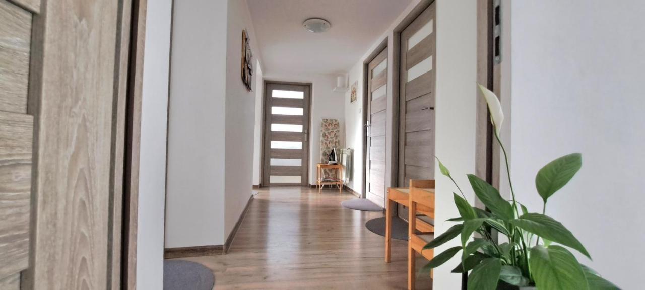 Pokoje I Apartamenty Na Szkolnej Zator Kültér fotó